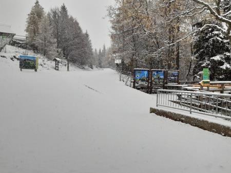 Prvi sneg pobelil Veliko planino 1